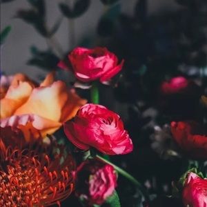 Meet your Posher, Cassandra